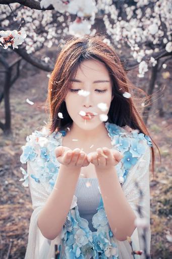 天才基本法电视剧免费观看