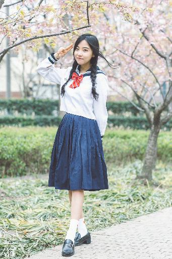 书卷一梦电视剧免费观看完整版